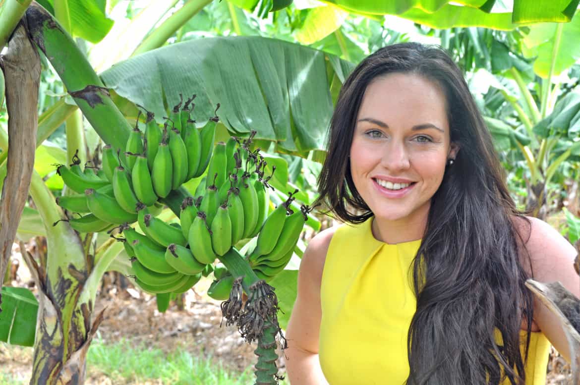 Fighting food waste, one powdered banana at a time 