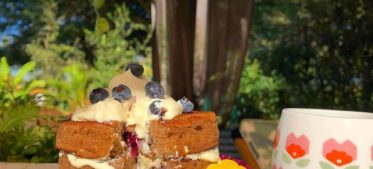 Banana Flour Pancakes