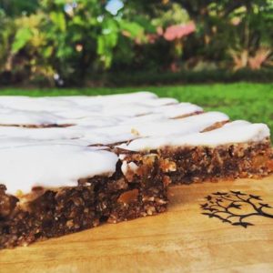 Apricot and Date Slice – Paleo