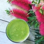 Green Banana Resistant Starch - Image 8