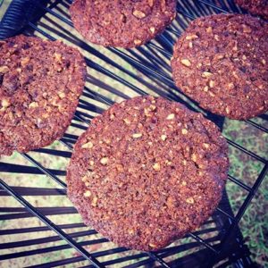 Choc Hazelnut Cookies