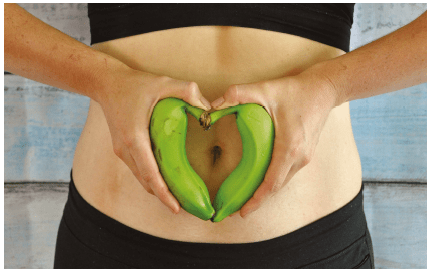 Beneficial effects of resistant starch for host health - Gut