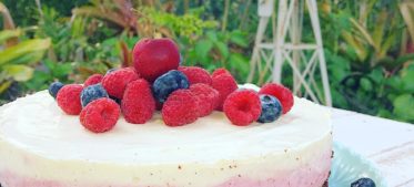 Cheesecake Base – Green Banana Flour